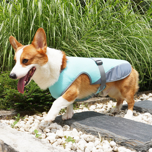 Pet Cooling Clothing Dog Clothing Pet Cooling Pet Supplies
