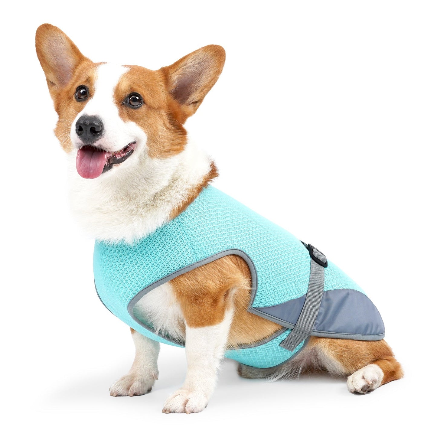 Pet Cooling Clothing Dog Clothing Pet Cooling Pet Supplies Light Blue
