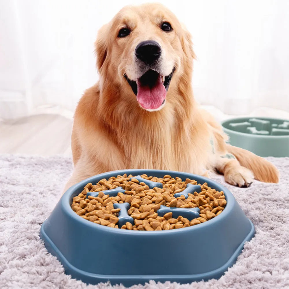 Pet Dog Bowl Dog Slow Feeder Bowl Puppy Cat Slow Eating Dish Bowl Anti-Gulping Food Plate Feeding Dog Cat Food Bowl Pet Supplies