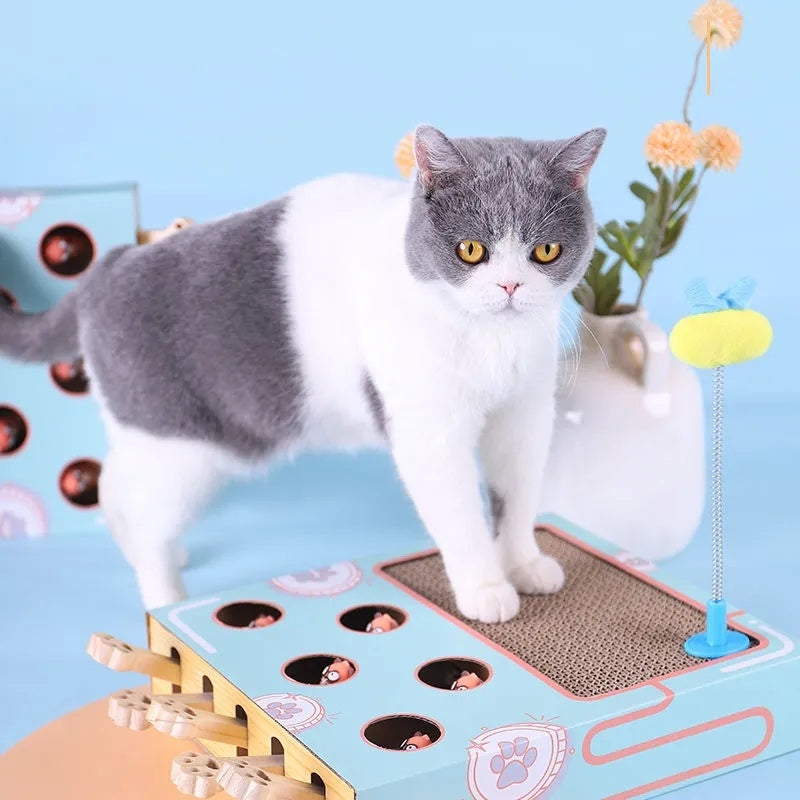 Cat Toy Chase Hunt Mouse Cat Game Box 3 in 1 with Scratcher Funny Cat Stick Cat Hit Gophers Interactive Maze Tease Toy
