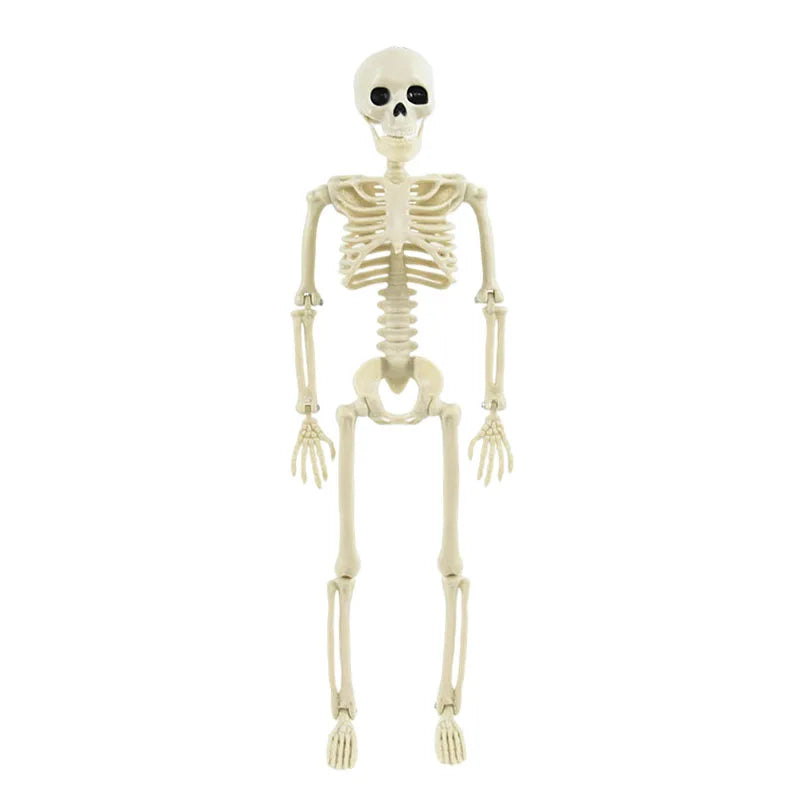 Halloween Movable Skeleton Fake Human Skull Bones Halloween Party Home Bar Decorations Haunted House Horror Props Ornament Toys A