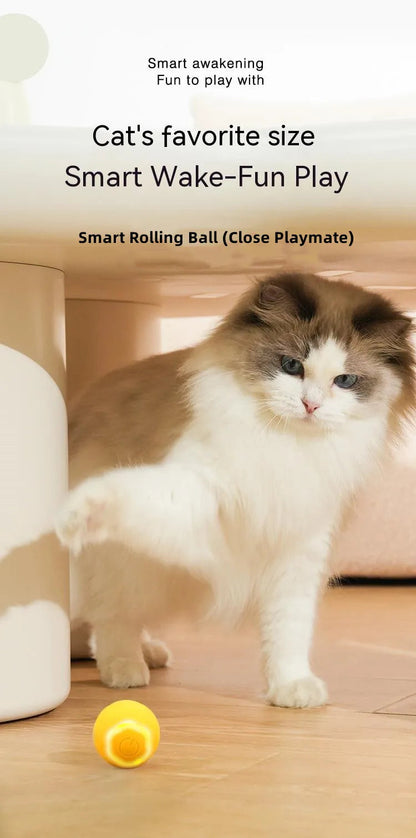 Smart Electric Cat Ball Toys Automatic Rolling USB Toys for Cats Training Self-moving Kitten Toys for Indoor Interactive Playing